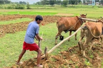 झारखंड कांग्रेस नेता- किसानों के लोन का माफी प्रस्ताव, चुनाव से पहले पार्टी गतिविधियों में बढ़ौतरी